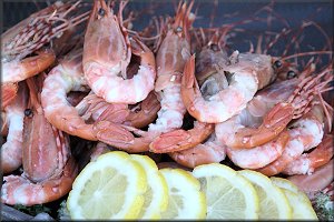 Seafood Bar