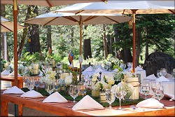 Party Rentals