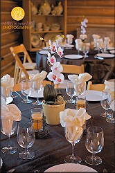 The Lodge at Tahoe Tree Company