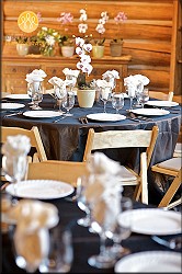 The Lodge at Tahoe Tree Company