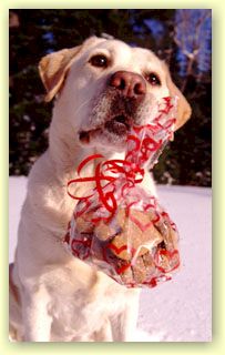 Woof! Magic and Love wrapped biscuit - Click to Zoom