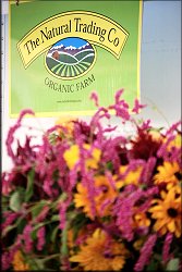 Organic Farm