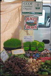 Placer County Grown