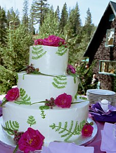 Wedding Cake by Barbara Vogt - Click to Zoom