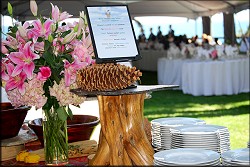 Menu Display