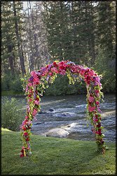 Wedding Arch