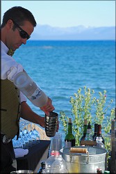 Summer Martinis