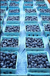 Blueberries