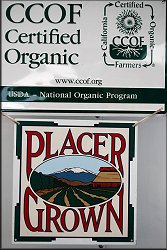 Certified Organic