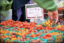 Cherry Tomatoes