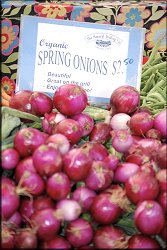 Spring Onions