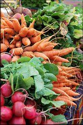 Vegies