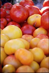 Tomatoes