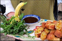 Crispy chicken spring rolls
