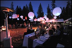 Wedding Reception