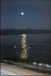 Big Moon Rising