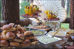 Social Catering