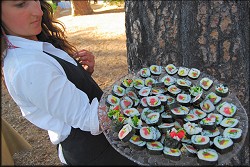 Sushi Appetizer