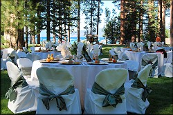 Table Setting