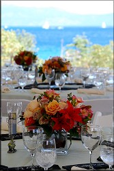Table Setting