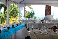 Table Setting