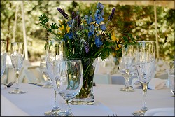 Table Setting
