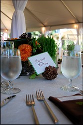 Table Setting