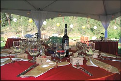 Table Setting