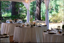 Table Setting