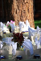 Table Setting
